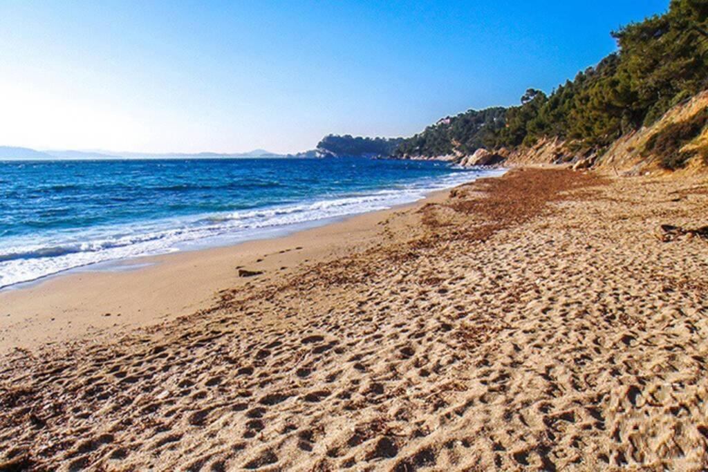 Апартаменти Superbe T2 Lumineux 3*** 10 Mn A Pied De La Plage Ле-Праде Екстер'єр фото